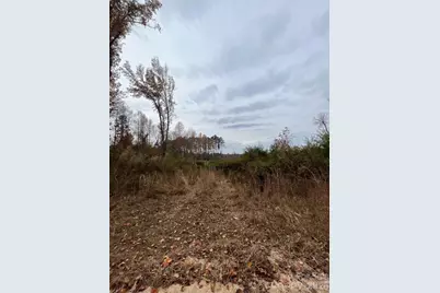 Tbd Wire 2 Road, Cheraw, SC 29520 - Photo 2