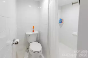 118 Rock Pt Rd, Lake Lure, NC 28746 - Photo 22