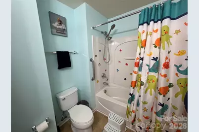 228 Tail Race Lane, Fort Mill, SC 29715 - Photo 38