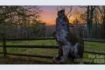 130 Hawkbill Road, Ferguson, NC 28624 - Photo 4