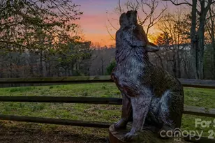 130 Hawkbill Rd, Ferguson, NC 28624 - Photo 4