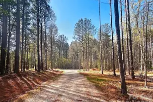 0 Peden Bridge Rd, Chester, SC 29706 - Photo 1