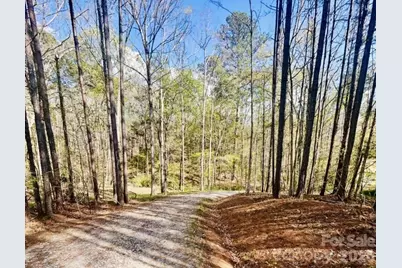0 Peden Bridge Road, Chester, SC 29706 - Photo 4