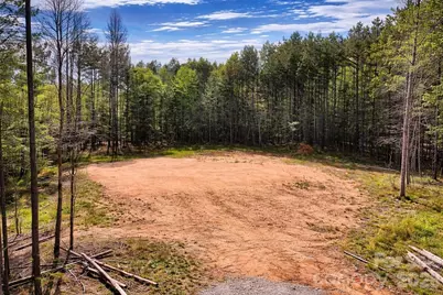 0 Peden Bridge Road, Chester, SC 29706 - Photo 12