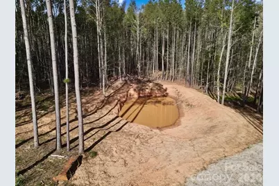 0 Peden Bridge Road, Chester, SC 29706 - Photo 14