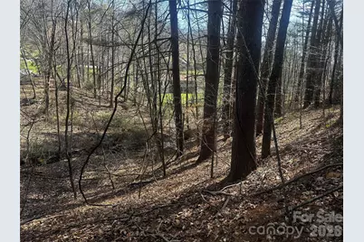 00 Saw Mill Hollow, Burnsville, NC 28714 - Photo 6