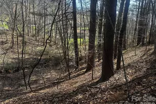 00 Saw Mill Hollow, Burnsville, NC 28714 - Photo 6