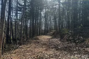 00 Saw Mill Hollow, Burnsville, NC 28714 - Photo 2