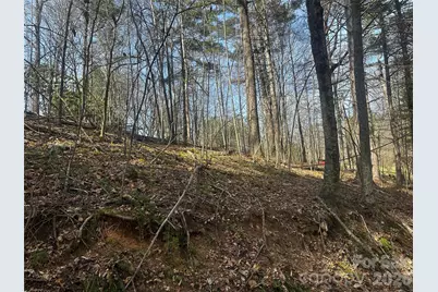 00 Saw Mill Hollow, Burnsville, NC 28714 - Photo 1