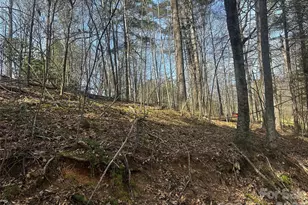 00 Saw Mill Hollow, Burnsville, NC 28714 - Photo 1