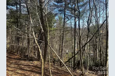 00 Saw Mill Hollow, Burnsville, NC 28714 - Photo 10