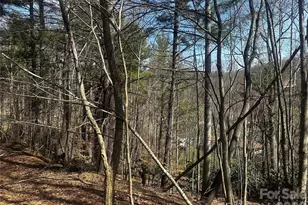 00 Saw Mill Hollow, Burnsville, NC 28714 - Photo 10