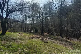 00 Saw Mill Hollow, Burnsville, NC 28714 - Photo 4