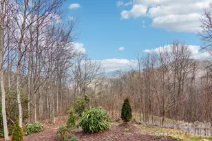 14 Chandra Ln, Clyde, NC 28721 - Photo 40