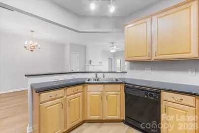 15041 Santa Lucia Drive, Charlotte, NC 28277 - Photo 8