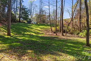 289 Riverview Church Rd, Asheville, NC 28806 - Photo 34