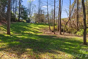 289 Riverview Church Rd, Asheville, NC 28806 - Photo 34