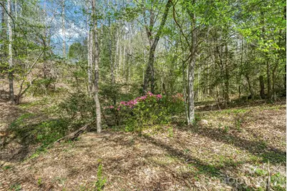 6047 Chaucer Lane, Granite Falls, NC 28630 - Photo 38