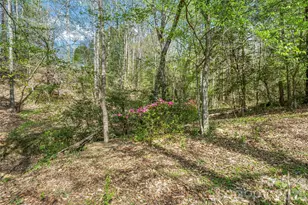 6047 Chaucer Ln, Granite Falls, NC 28630 - Photo 38