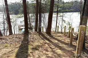 91 Island View Ct, Mill Spring, NC 28756 - Photo 40