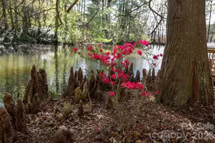 111 Hidden Pond Ln, Asheville, NC 28804 - Photo 26