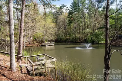 111 Hidden Pond Lane, Asheville, NC 28804 - Photo 4