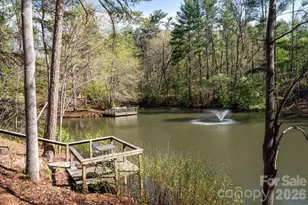 111 Hidden Pond Ln, Asheville, NC 28804 - Photo 4