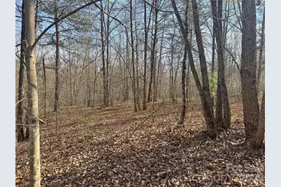 Vl Amberwood Place #17, Rutherfordton, NC 28139 - Photo 10