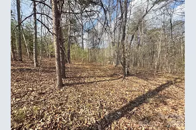 Vl Amberwood Place #17, Rutherfordton, NC 28139 - Photo 6