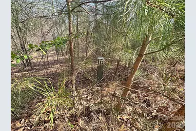 Vl Amberwood Place #17, Rutherfordton, NC 28139 - Photo 14