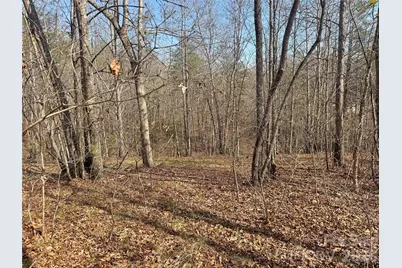 Vl Amberwood Place #17, Rutherfordton, NC 28139 - Photo 2