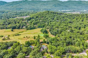 111 Dogwood Dr, Black Mountain, NC 28711 - Photo 10