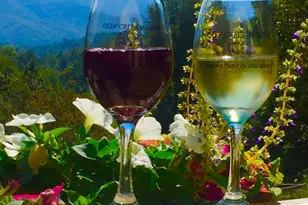 405 Johnathan Walk Rd, Bryson City, NC 28713 - Photo 1