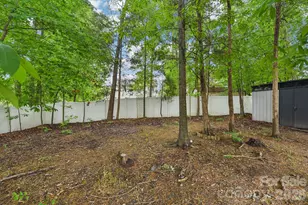 8718 Buttonwood Ct, Charlotte, NC 28215 - Photo 24