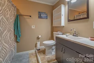 64 Haw Creek Cir, Asheville, NC 28805 - Photo 30