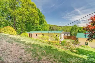 64 Haw Creek Cir, Asheville, NC 28805 - Photo 20
