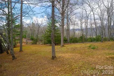 233 Church Road, Fairview, NC 28730 - Photo 38
