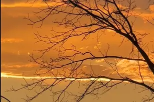 81 Edgemont Rd, Asheville, NC 28801 - Photo 48