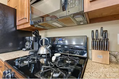 150 Saddle Notch Lane #Unit A-1, Tuckasegee, NC 28783 - Photo 4