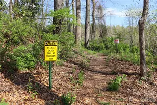 700 Vista Lake Dr, Candler, NC 28715 - Photo 44