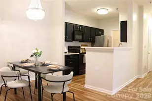 700 Vista Lake Dr, Candler, NC 28715 - Photo 18