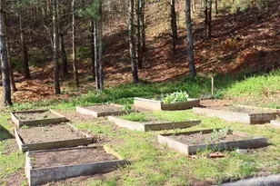 700 Vista Lake Dr, Candler, NC 28715 - Photo 46