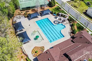 850 Coralbell Way, Fort Mill, SC 29708 - Photo 40