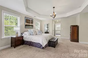 850 Coralbell Way, Fort Mill, SC 29708 - Photo 24