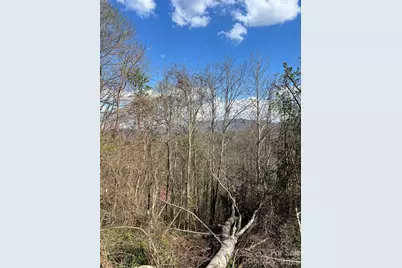 150 Combo Court, Waynesville, NC 28786 - Photo 16