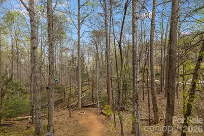 517 Pheasant Street, Lake Lure, NC 28746 - Photo 22