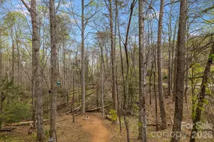 517 Pheasant St, Lake Lure, NC 28746 - Photo 22