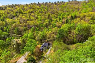 51 Mark Twain Rd, Asheville, NC 28805 - Photo 46