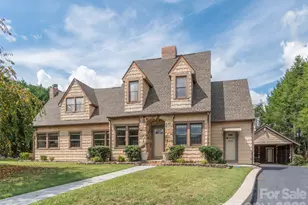 169 N Serpentine Ave, Hot Springs, NC 28743 - Photo 6