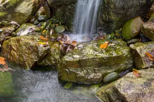 104 Mossridge Ct, Flat Rock, NC 28731 - Photo 46